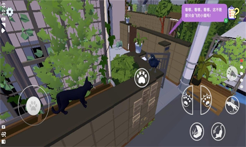小猫咪大城市截图4