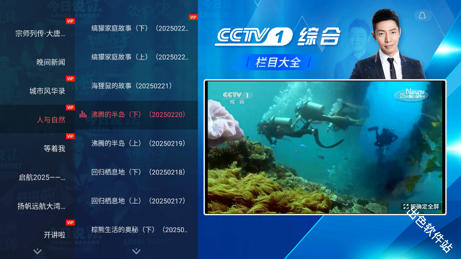 央视频tv