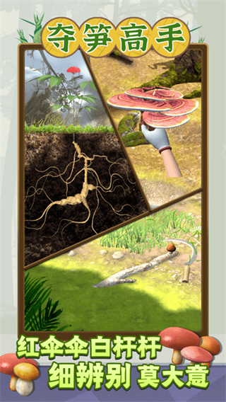 夺笋高手截图4