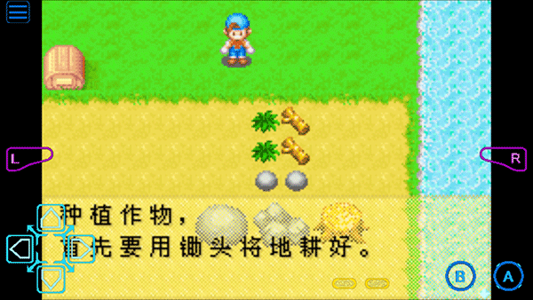 牧场物语矿石镇的伙伴们截图5