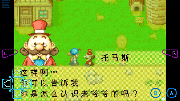 牧场物语矿石镇的伙伴们截图4