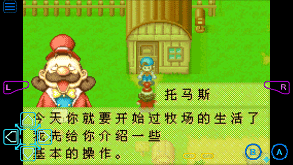 牧场物语矿石镇的伙伴们截图1