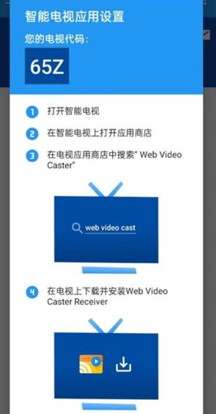 Web Video Caster