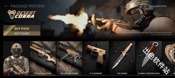 战斗大师国际服