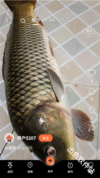 小红鱼