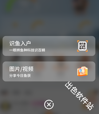 小红鱼