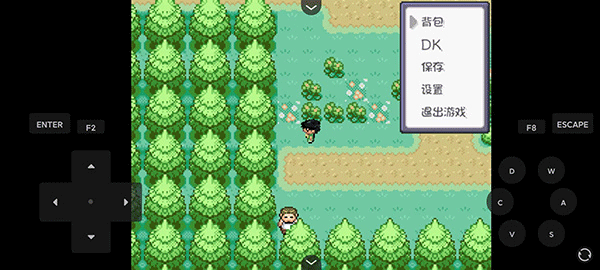 口袋妖怪燃之智截图4