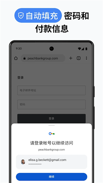 Chrome浏览器截图2