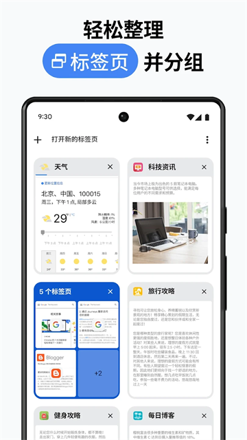 Chrome浏览器截图4