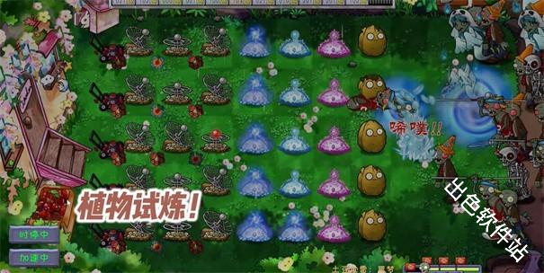 植物大战僵尸共生版